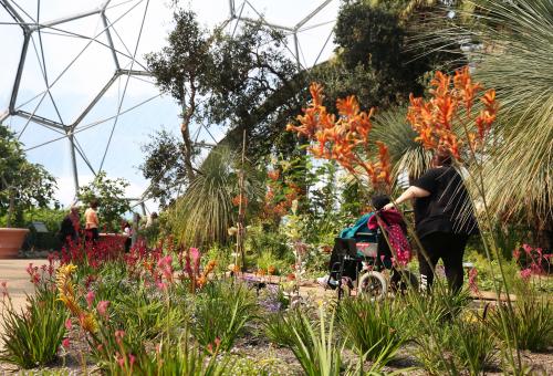 Person pushing person in wheelchair in Western Australia Garden at Eden Project